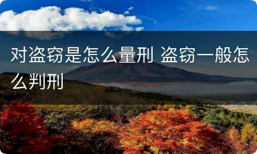 对盗窃是怎么量刑 盗窃一般怎么判刑