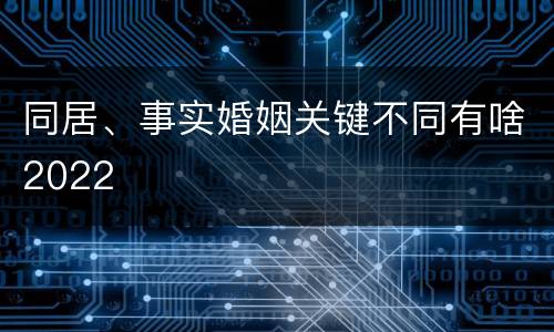 同居、事实婚姻关键不同有啥2022