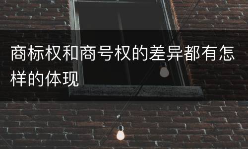 商标权和商号权的差异都有怎样的体现