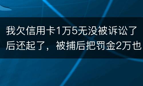 我欠信用卡1万5无没被诉讼了后还起了，被捕后把罚金2万也给了，什么时候放人呀