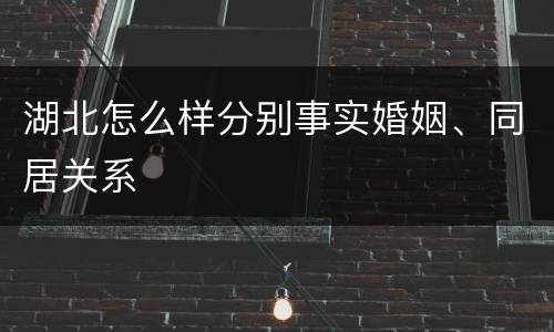 湖北怎么样分别事实婚姻、同居关系
