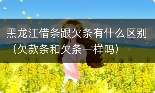 黑龙江借条跟欠条有什么区别（欠款条和欠条一样吗）