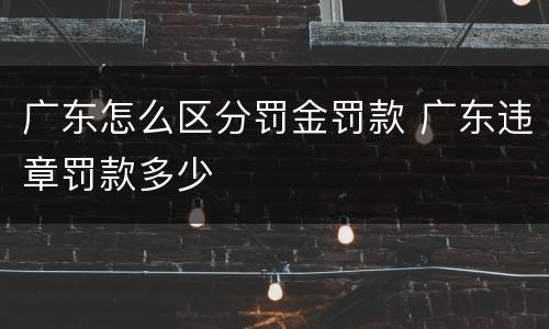 广东怎么区分罚金罚款 广东违章罚款多少