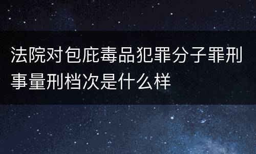 法院对包庇毒品犯罪分子罪刑事量刑档次是什么样