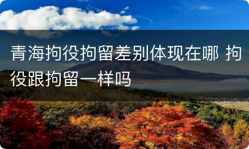 青海拘役拘留差别体现在哪 拘役跟拘留一样吗