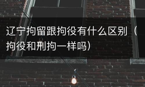 辽宁拘留跟拘役有什么区别（拘役和刑拘一样吗）