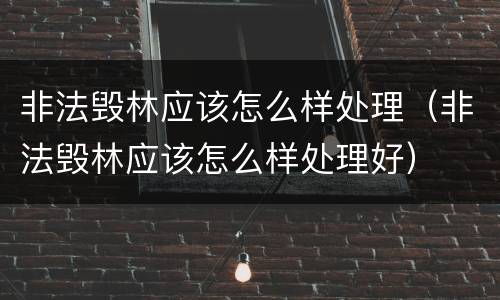 非法毁林应该怎么样处理（非法毁林应该怎么样处理好）
