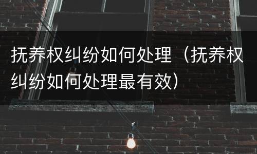 抚养权纠纷如何处理（抚养权纠纷如何处理最有效）