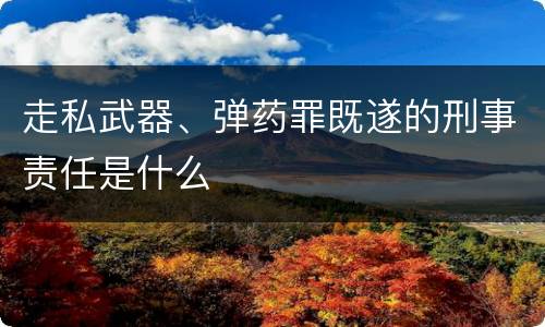 走私武器、弹药罪既遂的刑事责任是什么