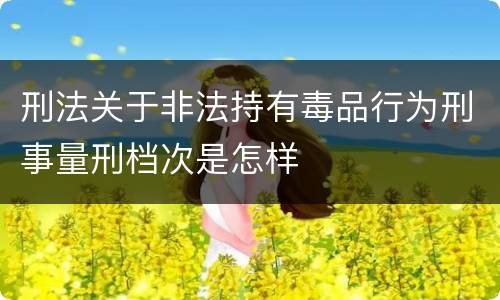 刑法关于非法持有毒品行为刑事量刑档次是怎样