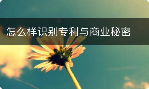 怎么样识别专利与商业秘密