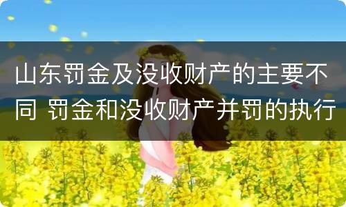 山东罚金及没收财产的主要不同 罚金和没收财产并罚的执行顺序