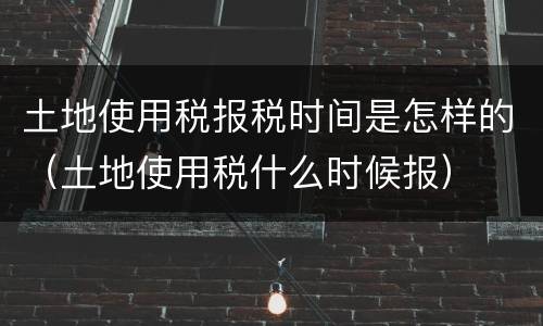 土地使用税报税时间是怎样的（土地使用税什么时候报）