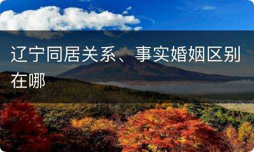 辽宁同居关系、事实婚姻区别在哪