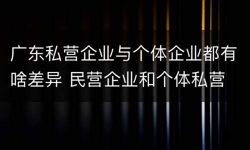 广东私营企业与个体企业都有啥差异 民营企业和个体私营