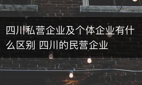四川私营企业及个体企业有什么区别 四川的民营企业