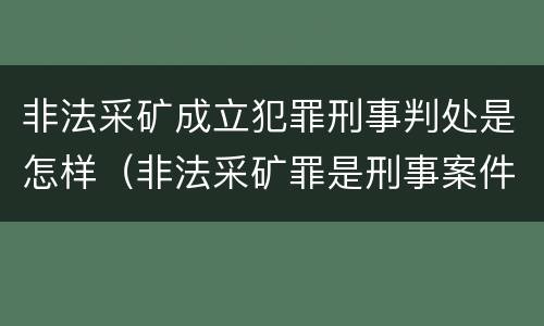 非法采矿成立犯罪刑事判处是怎样（非法采矿罪是刑事案件吗）