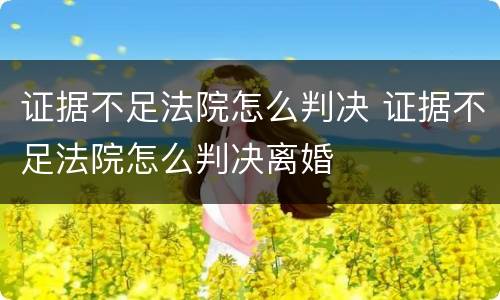 证据不足法院怎么判决 证据不足法院怎么判决离婚