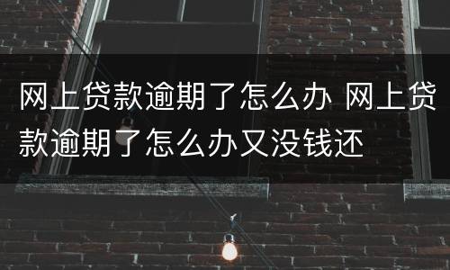 网上贷款逾期了怎么办 网上贷款逾期了怎么办又没钱还