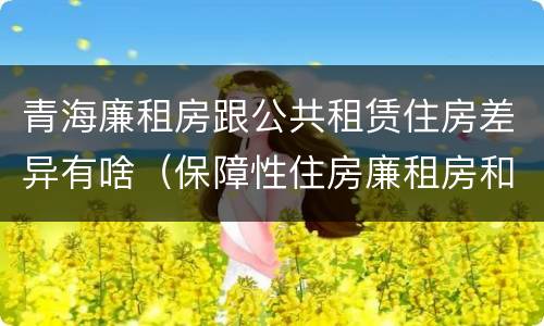 青海廉租房跟公共租赁住房差异有啥（保障性住房廉租房和公租房区别）