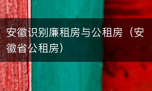 安徽识别廉租房与公租房（安徽省公租房）