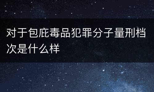 对于包庇毒品犯罪分子量刑档次是什么样