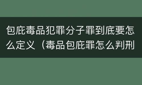 包庇毒品犯罪分子罪到底要怎么定义（毒品包庇罪怎么判刑）