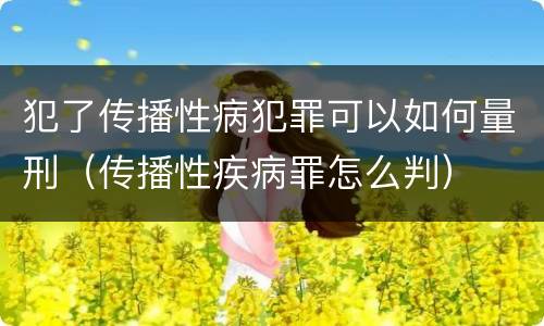 犯了传播性病犯罪可以如何量刑（传播性疾病罪怎么判）