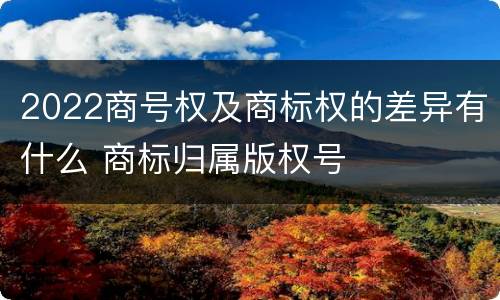 2022商号权及商标权的差异有什么 商标归属版权号