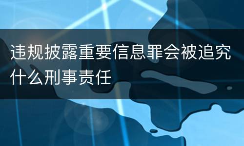 违规披露重要信息罪会被追究什么刑事责任