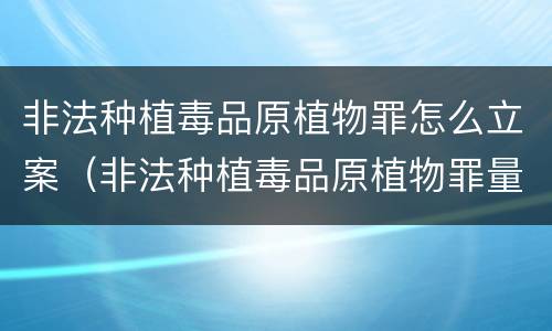 非法种植毒品原植物罪怎么立案（非法种植毒品原植物罪量刑）