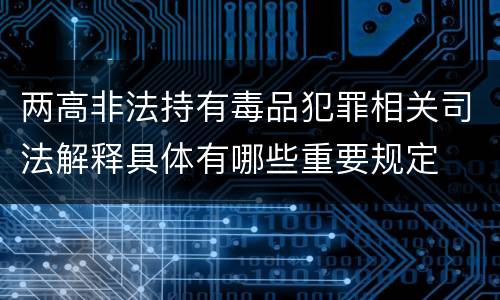 两高非法持有毒品犯罪相关司法解释具体有哪些重要规定