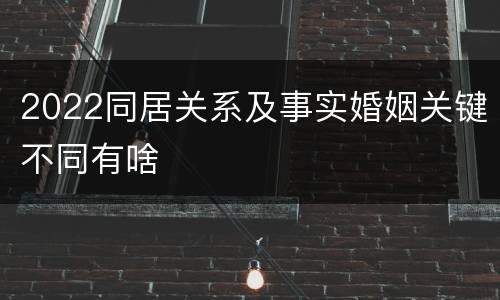 2022同居关系及事实婚姻关键不同有啥