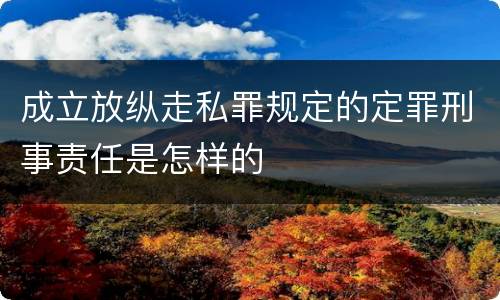 成立放纵走私罪规定的定罪刑事责任是怎样的