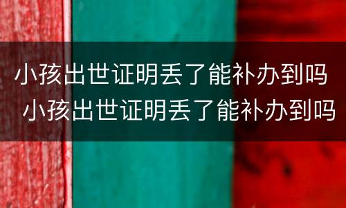 小孩出世证明丢了能补办到吗 小孩出世证明丢了能补办到吗