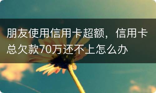 朋友使用信用卡超额，信用卡总欠款70万还不上怎么办