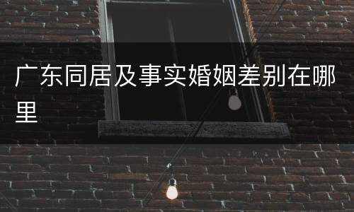 广东同居及事实婚姻差别在哪里