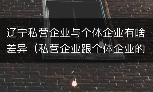辽宁私营企业与个体企业有啥差异（私营企业跟个体企业的区别）