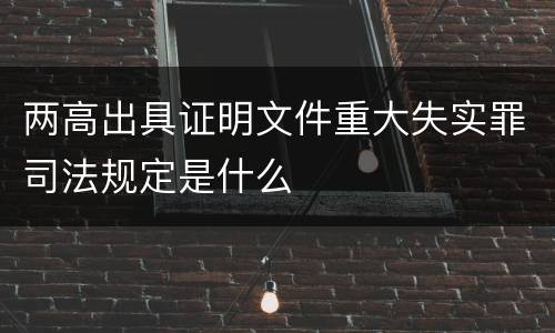 两高出具证明文件重大失实罪司法规定是什么