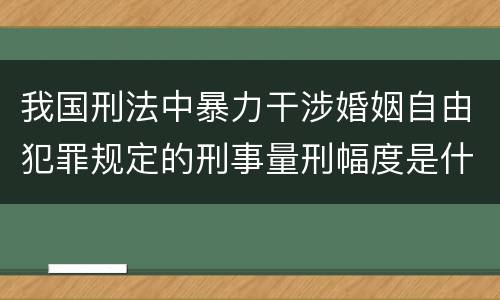 我国刑法中暴力干涉婚姻自由犯罪规定的刑事量刑幅度是什么