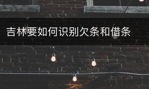 吉林要如何识别欠条和借条