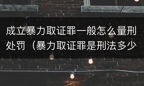 成立暴力取证罪一般怎么量刑处罚（暴力取证罪是刑法多少条）