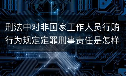 刑法中对非国家工作人员行贿行为规定定罪刑事责任是怎样