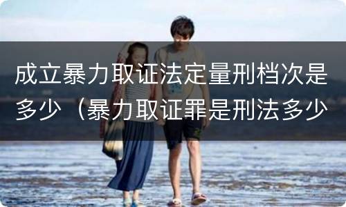 成立暴力取证法定量刑档次是多少（暴力取证罪是刑法多少条）