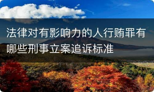 法律对有影响力的人行贿罪有哪些刑事立案追诉标准