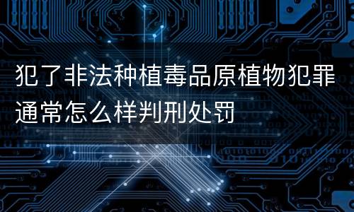犯了非法种植毒品原植物犯罪通常怎么样判刑处罚