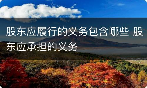 股东应履行的义务包含哪些 股东应承担的义务