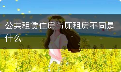 公共租赁住房与廉租房不同是什么