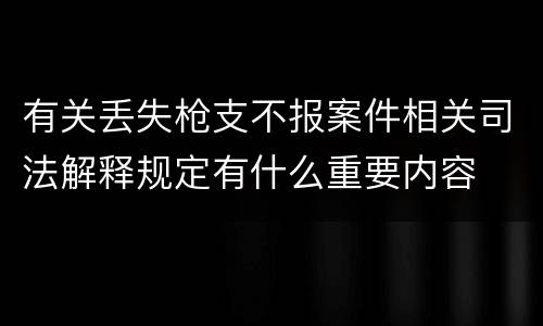 有关丢失枪支不报案件相关司法解释规定有什么重要内容