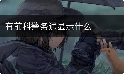 有前科警务通显示什么